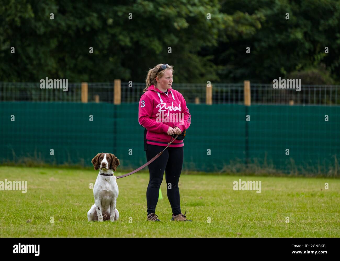 Une femme avec un spaniel à la journée d'entraînement de chien à Unleashed Dog Agility Park, East Lothian, Écosse, Royaume-Uni Banque D'Images