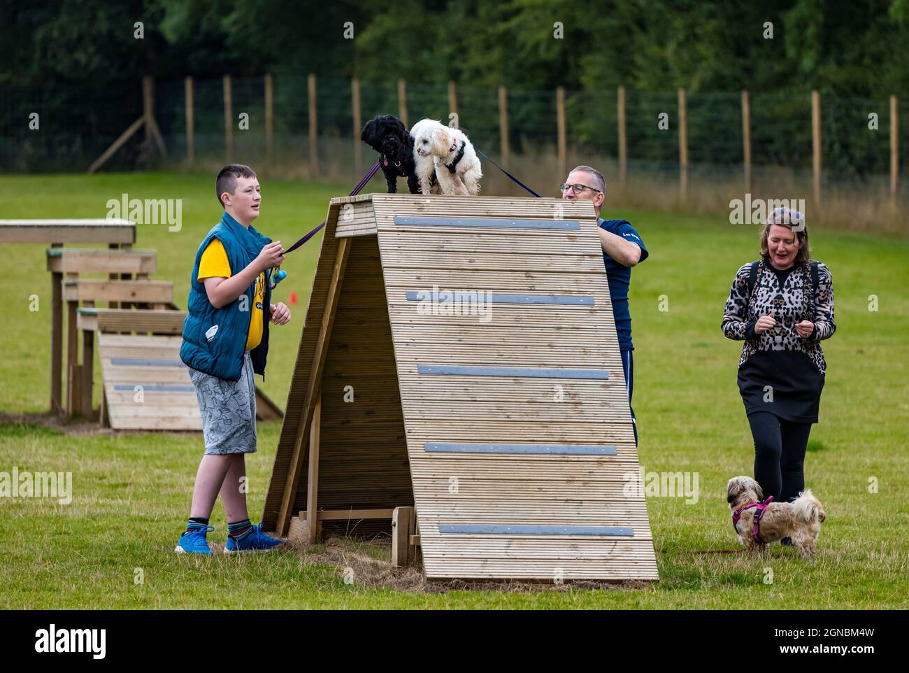 Une famille avec les chiens Shih Tzu et Lhassa Apso au parc d'agilité pour chiens Unleashed, East Lothian, Écosse, Royaume-Uni Banque D'Images