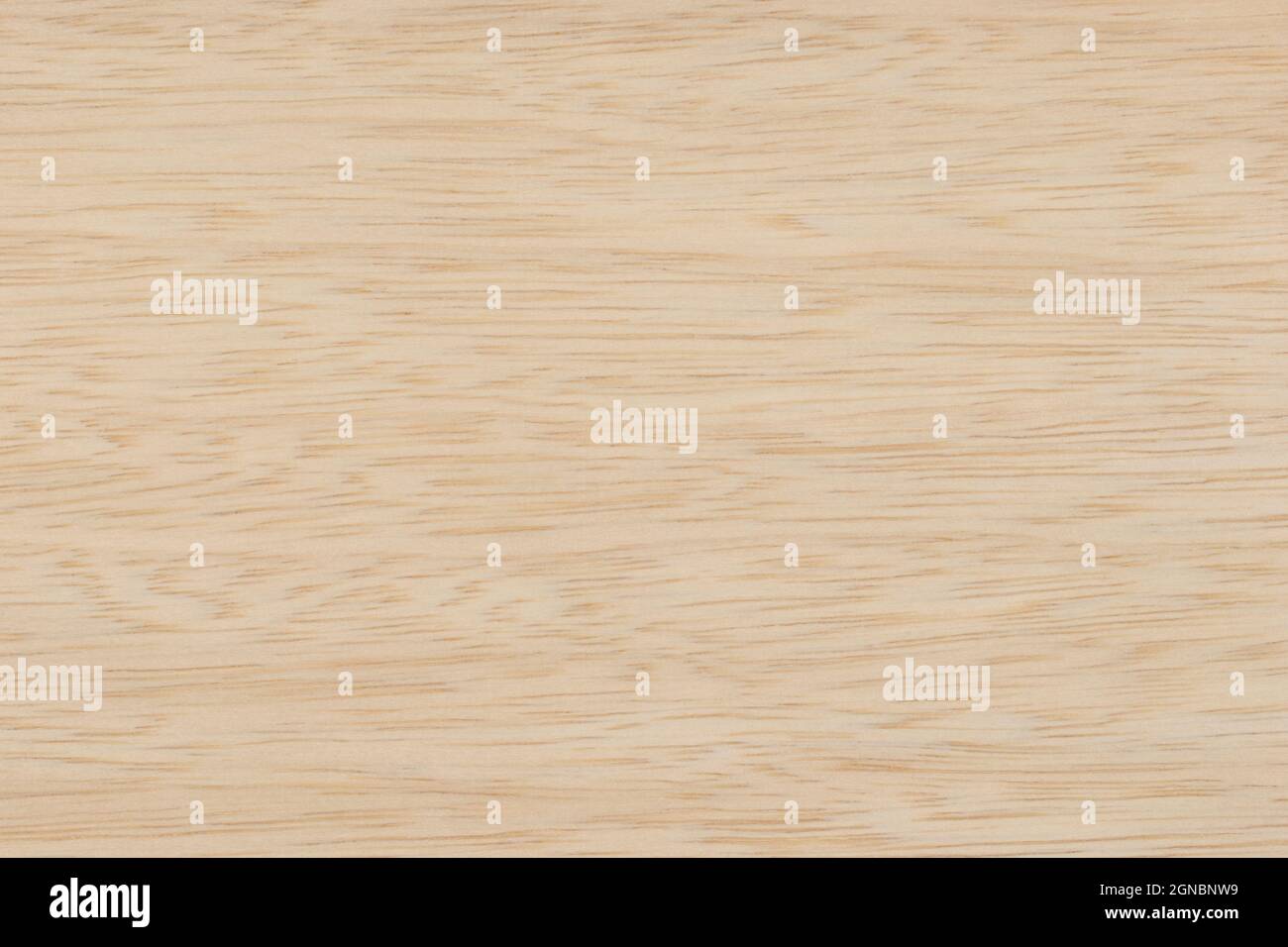 Motif de texture de panneau en bois clair Limba Banque D'Images