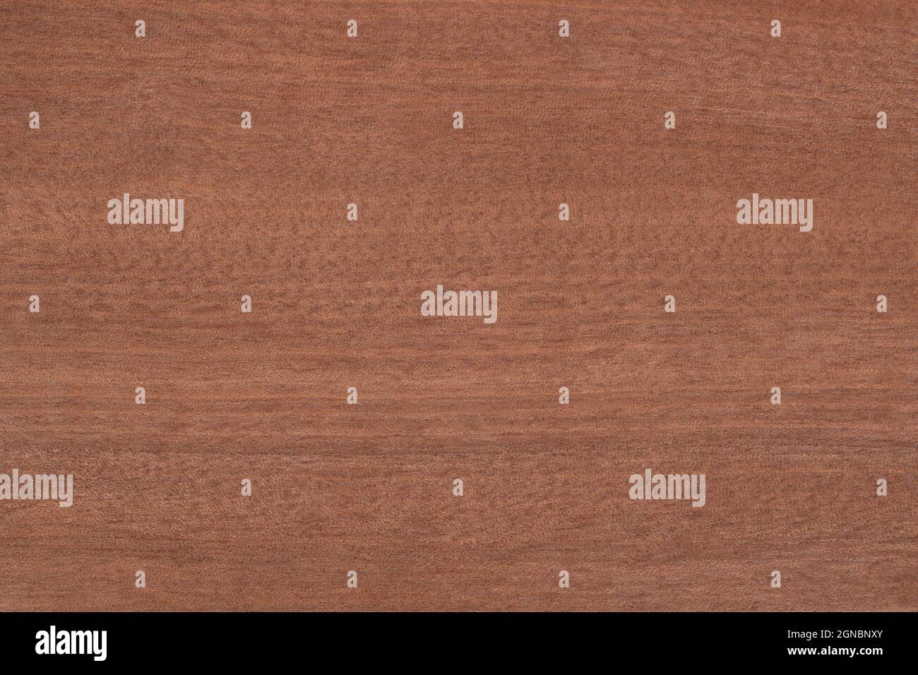 Motif de texture de panneau en bois exotique Makore Banque D'Images