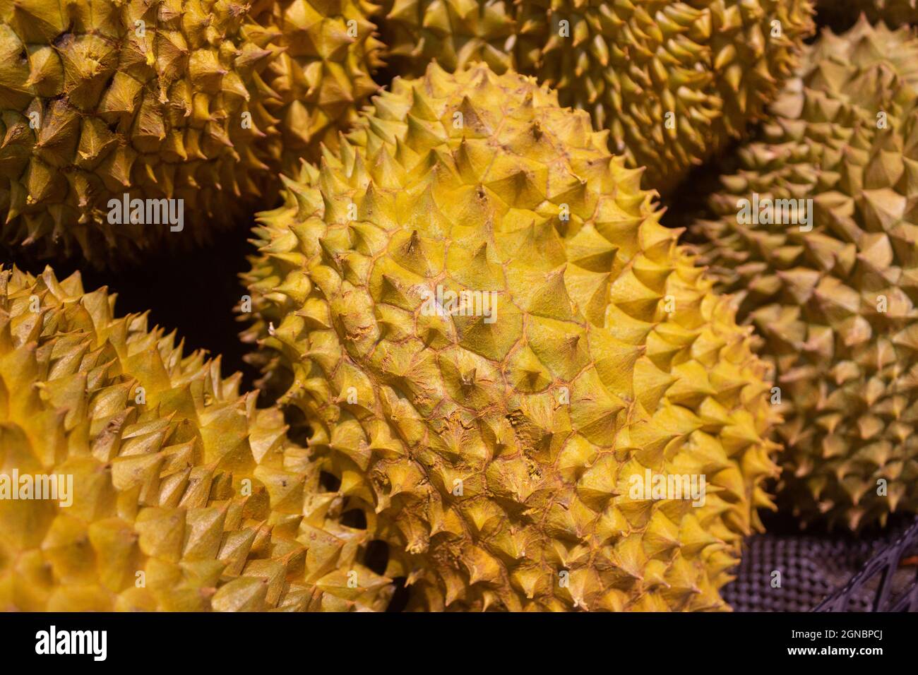 Durian en vente sur les étagères des supermarchés Banque D'Images