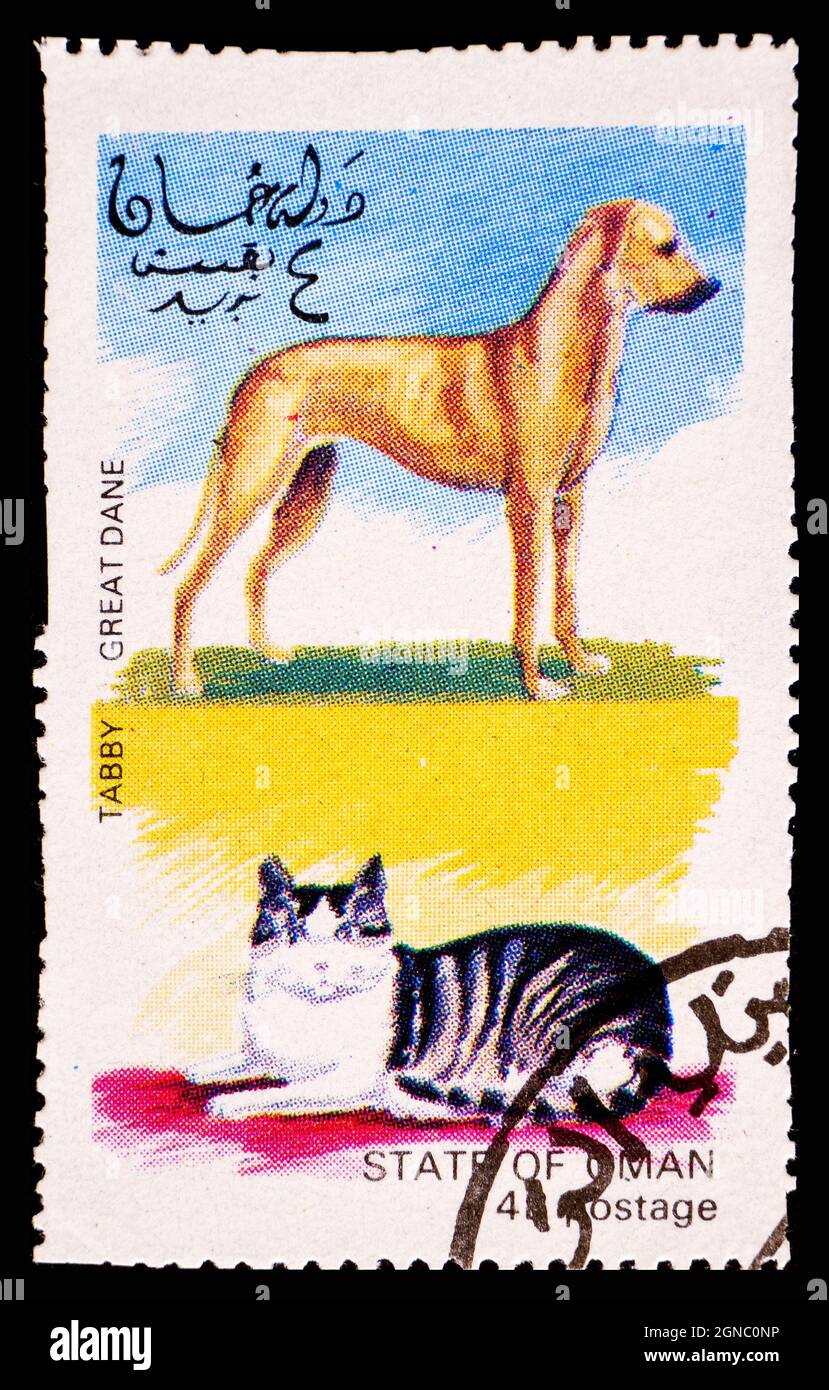 OMAN - VERS 1972: Timbre-poste d'Oman montrant le chat de Tabby et le Grand chien de Dane Banque D'Images
