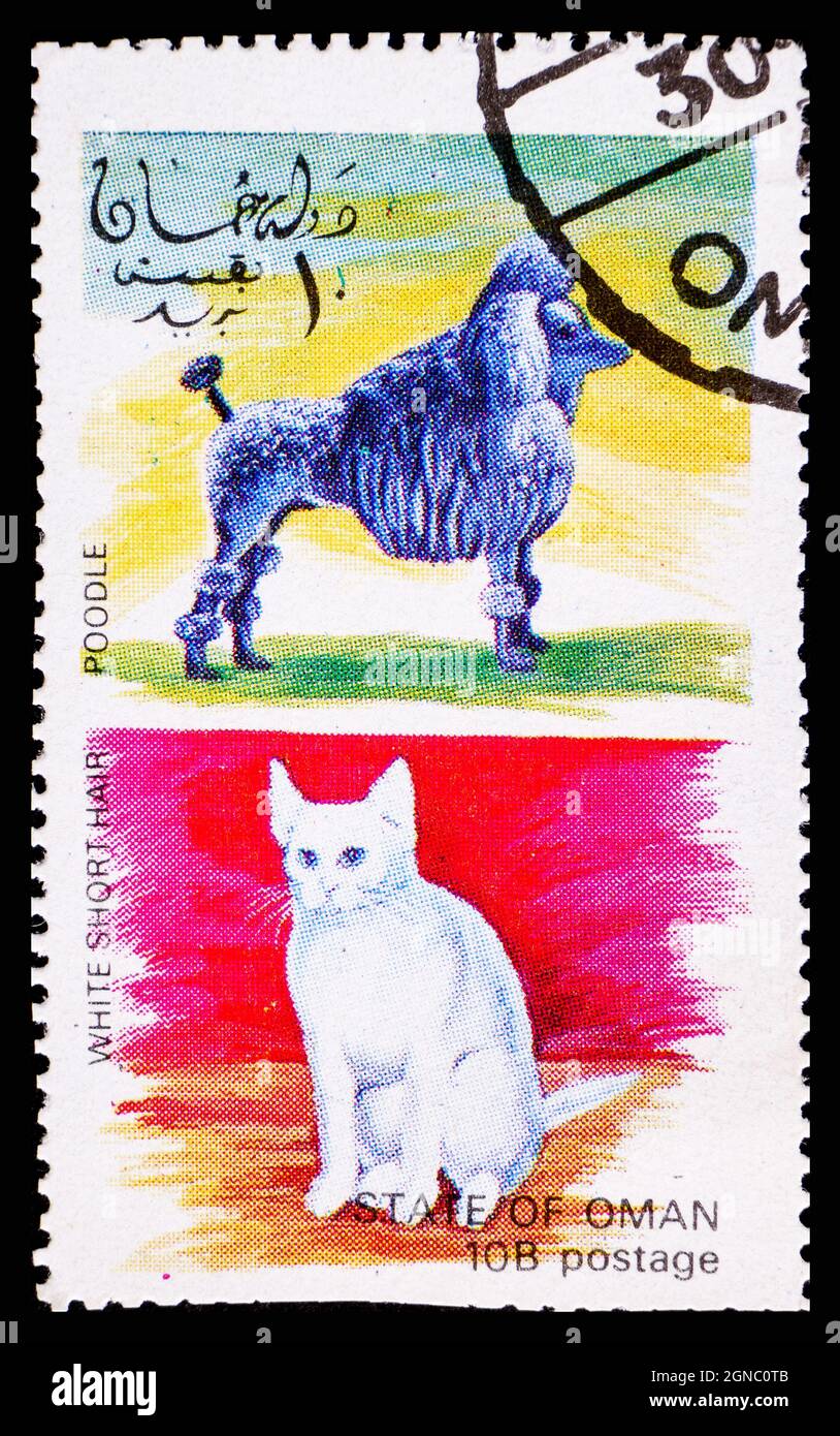 OMAN - VERS 1972: Timbre-poste d'Oman montrant le chat blanc à cheveux courts et le chien Poodle Banque D'Images