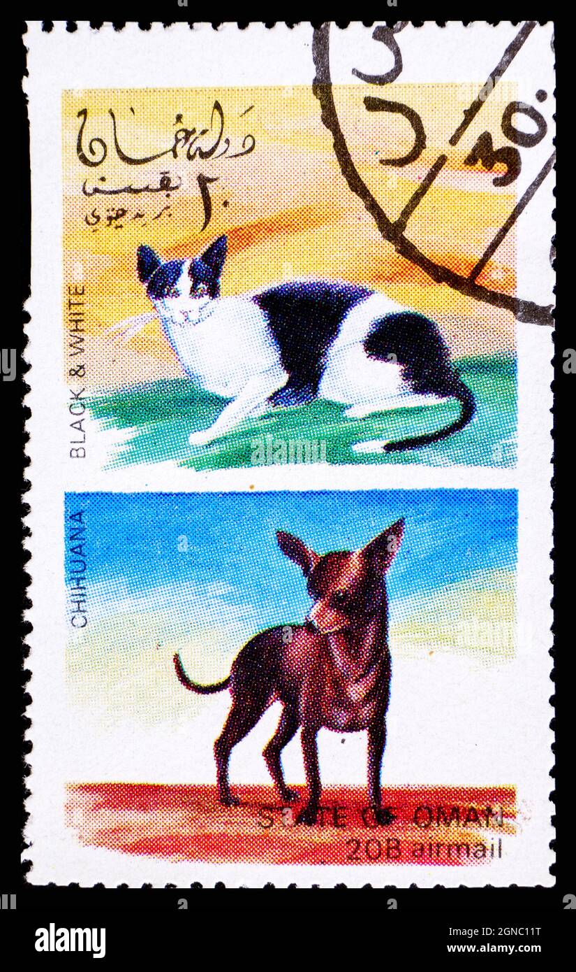 OMAN - VERS 1972 : timbre-poste d'Oman montrant le chat noir et blanc et le chien de Chimarihuana Banque D'Images
