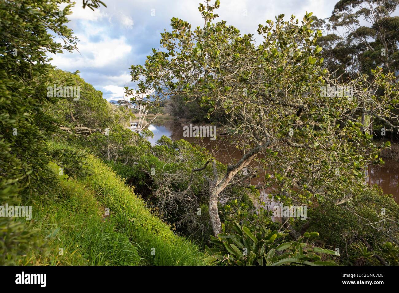 Wandel Pad, un sentier de randonnée et de nature le long d'un estuaire de la rivière. Banque D'Images