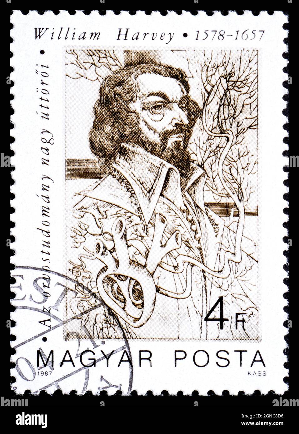 HONGRIE - VERS 1987: Un timbre imprimé en Hongrie de la 1ère série de pionniers de la médecine montre William Harvey circulation de sang Banque D'Images