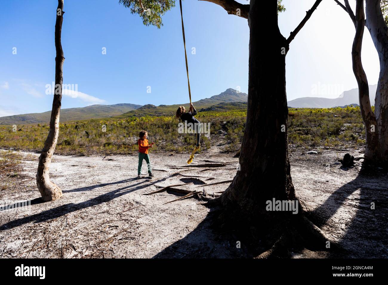 Jeune fille et frère cadet utilisant la corde balançoire sur un sentier de randonnée Banque D'Images