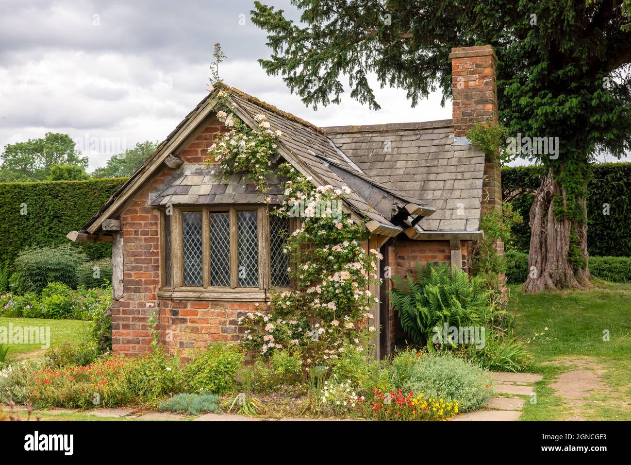 Très ancienne petite maison de jardin en brique rouge avec toit en ardoise, fenêtres à meneaux et rose grimpant. Banque D'Images