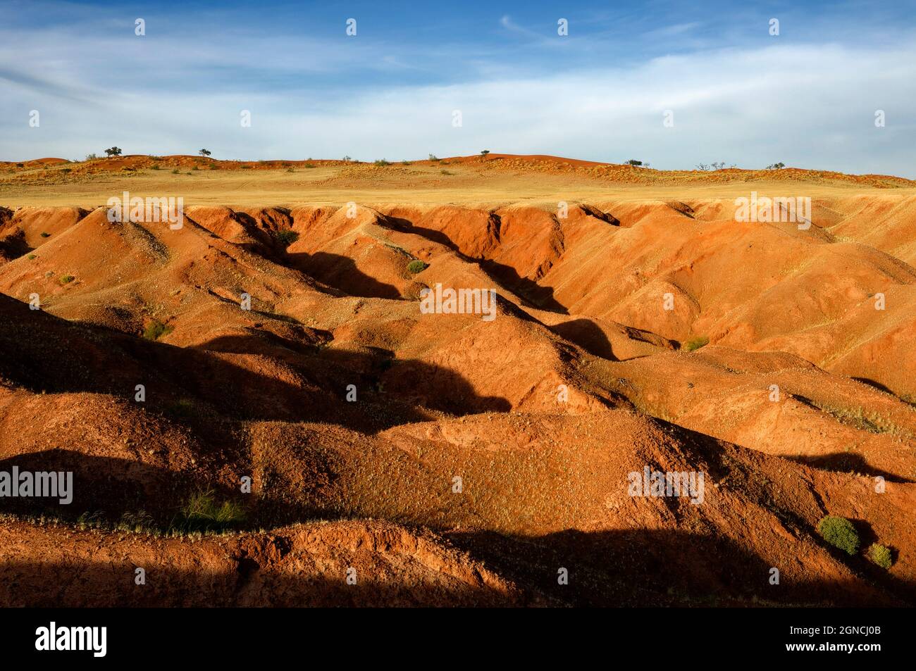 Dunes pétrifiées dans la réserve panoramique de la vallée de Tsondab dans le désert du Namib, district de Windhoek, région de Khomas, Namibie Banque D'Images
