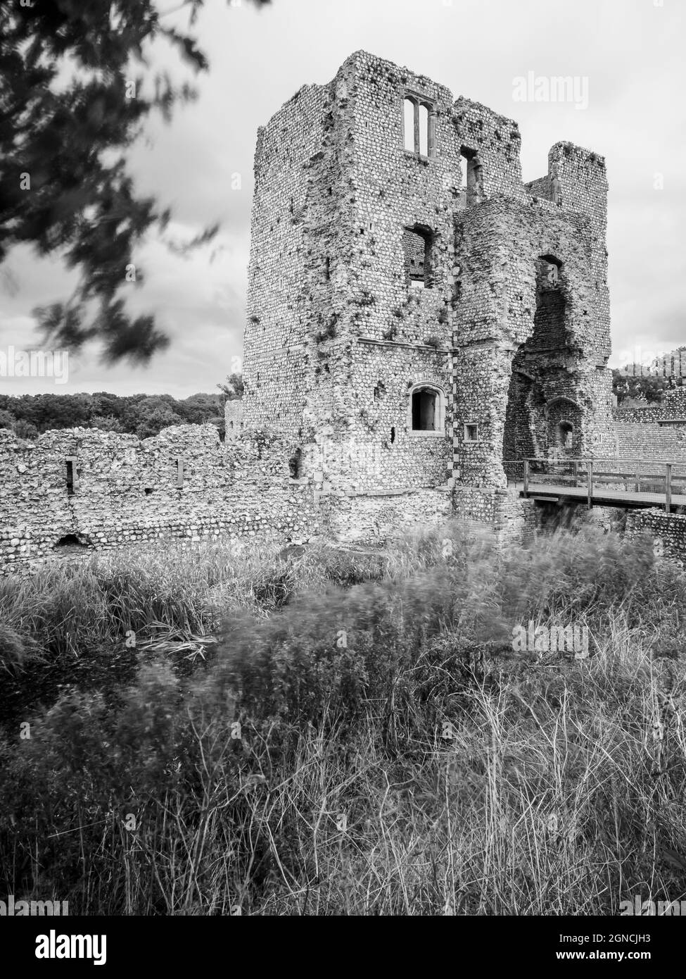 Château de Baconsthorpe, Norfolk, Angleterre Banque D'Images