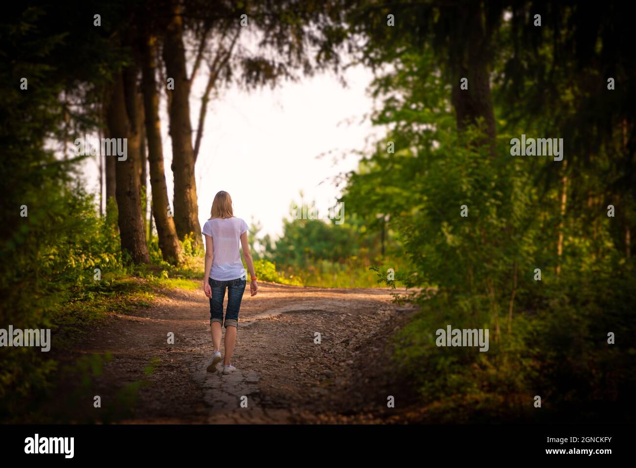 Jeune femme marchant dans la forêt d'été en Russie. Banque D'Images