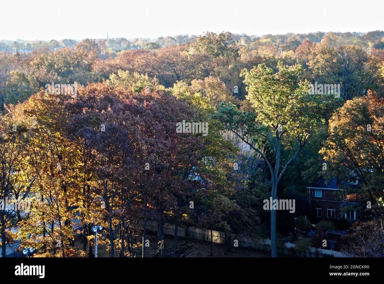 Feuillage d'automne coloré au-dessus de Lakewood dans le nord-est de l'Ohio Banque D'Images