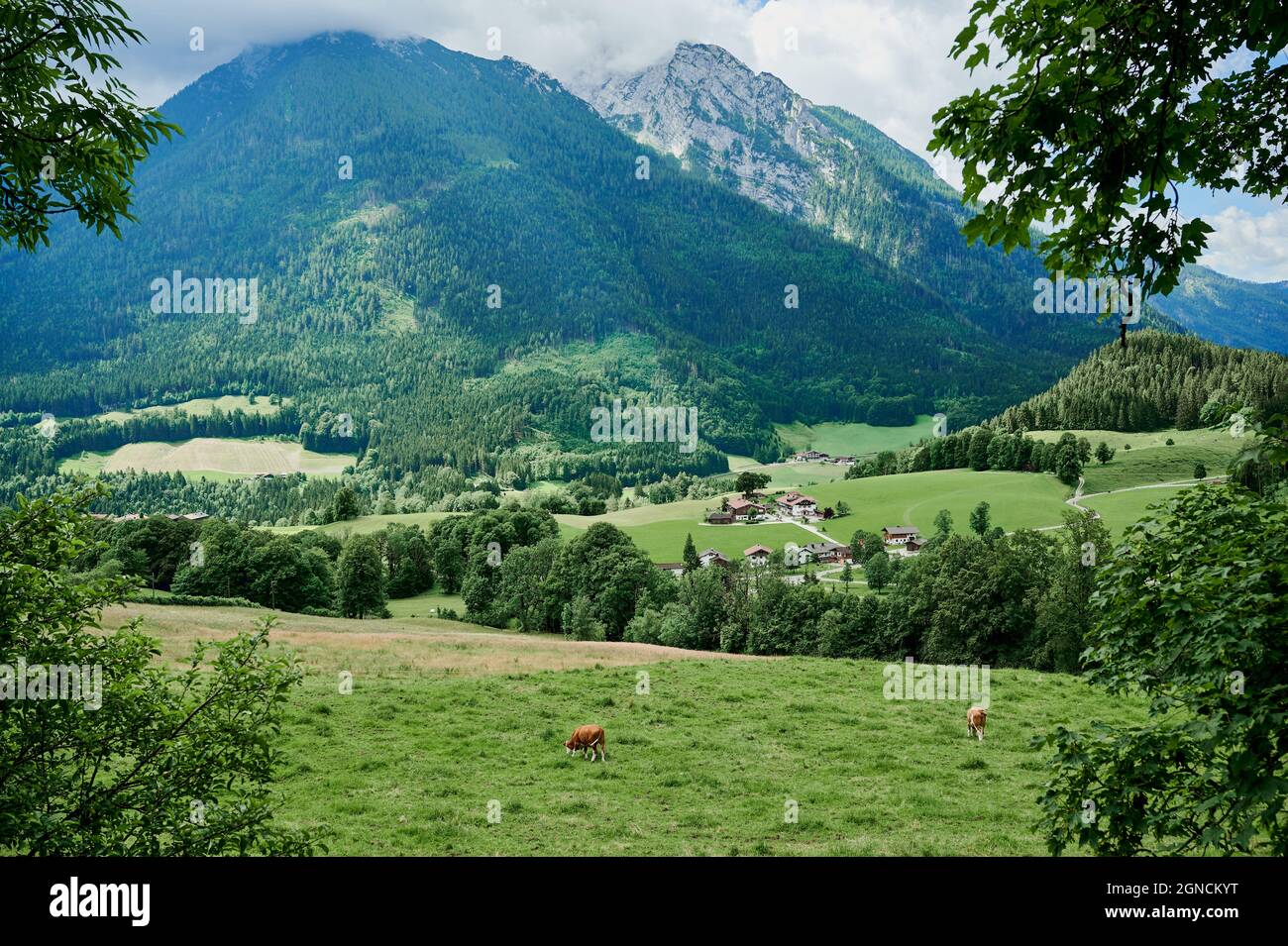 Paysage de la montagne en été en Bavière, Allemagne Banque D'Images