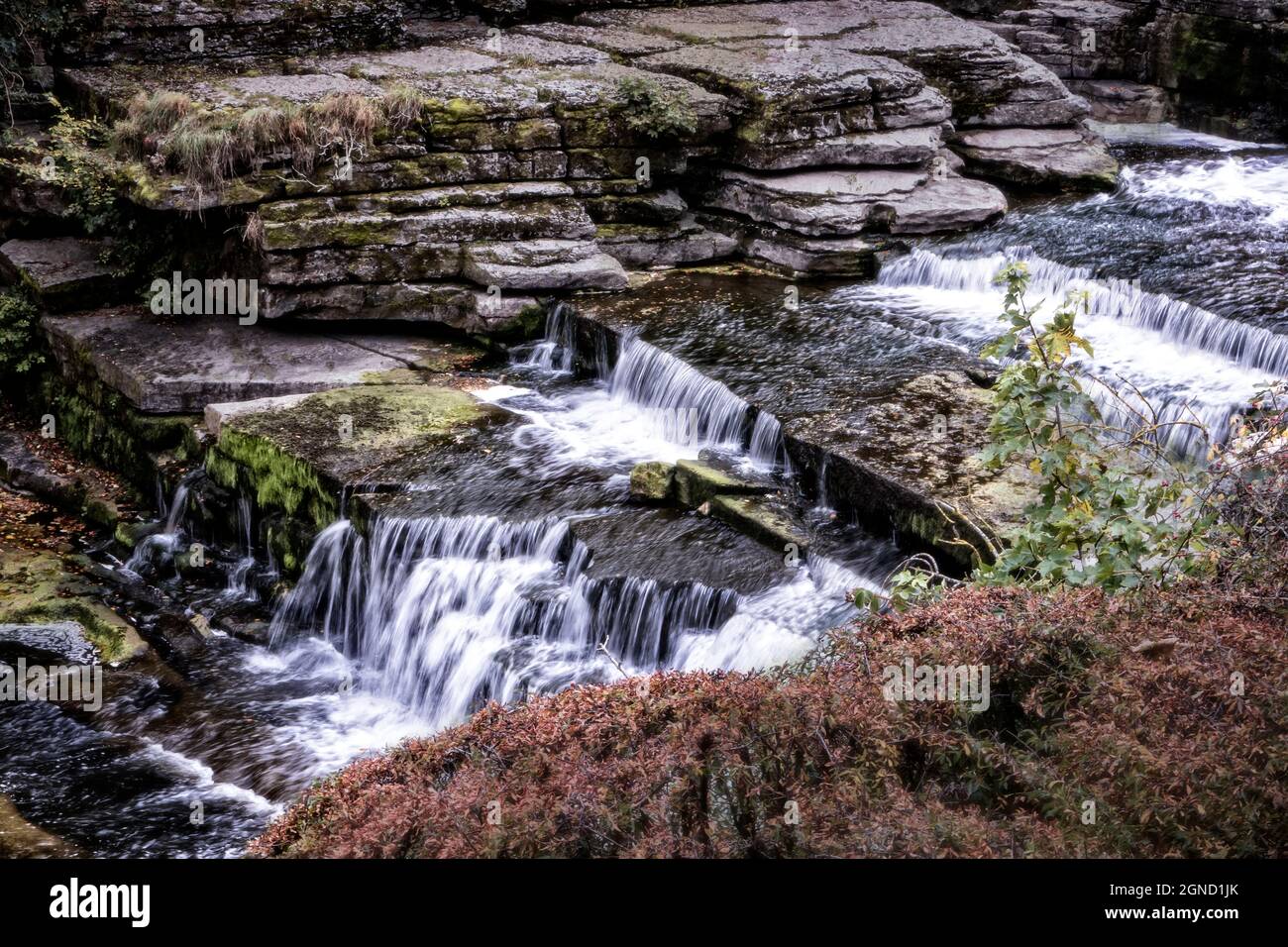 Aysgarth Middle Falls North Yorkshire Royaume-Uni Banque D'Images