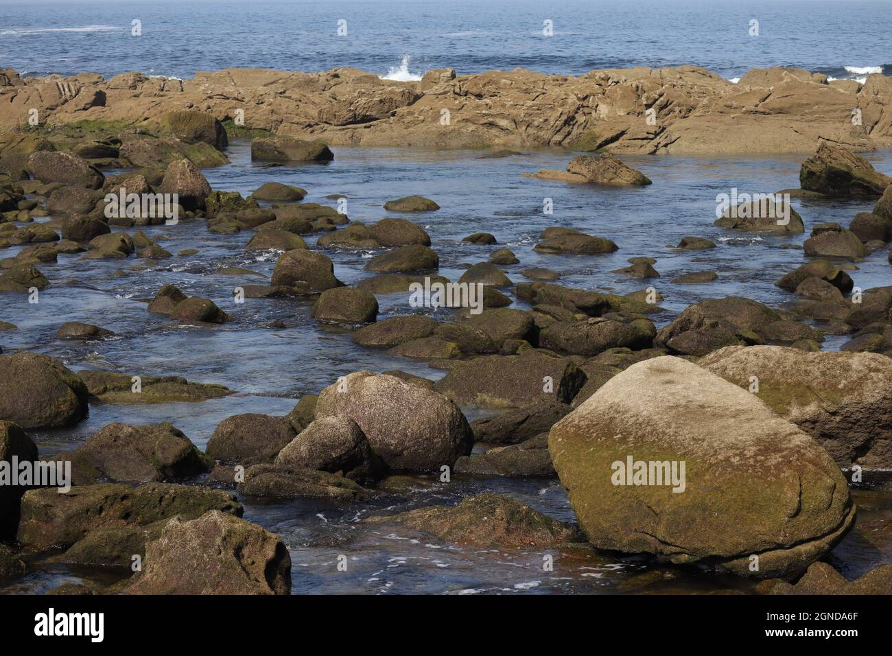 ÎLES CIES, PARC NATIONAL MARITIME, TERRESTRE DES ÎLES DE L'ATLANTIQUE DE LA GALICE EN ESPAGNE ÎLES CIES, PARC NATIONAL MARITIME, TERRESTRE DES ÎLES DE L'ATLANTIQUE DE LA GALICE EN ESPAGNE