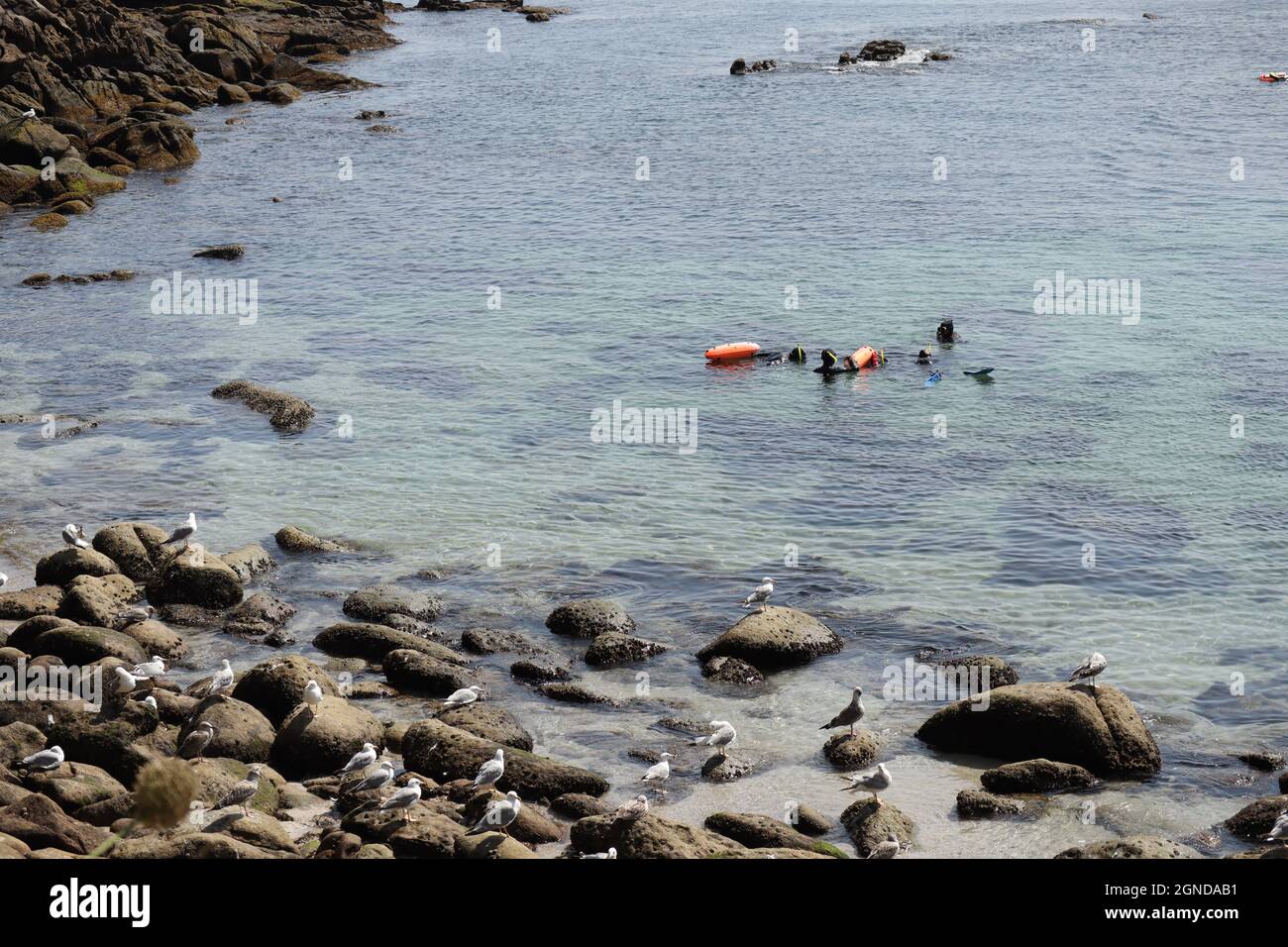 ÎLES CIES, PARC NATIONAL MARITIME, TERRESTRE DES ÎLES DE L'ATLANTIQUE DE LA GALICE EN ESPAGNE ÎLES CIES, PARC NATIONAL MARITIME, TERRESTRE DES ÎLES DE L'ATLANTIQUE DE LA GALICE EN ESPAGNE