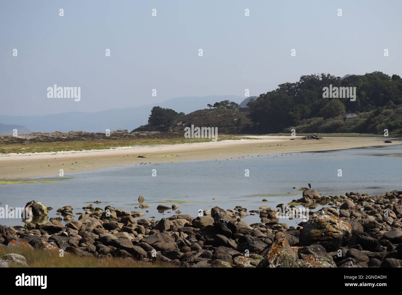 ÎLES CIES, PARC NATIONAL MARITIME, TERRESTRE DES ÎLES DE L'ATLANTIQUE DE LA GALICE EN ESPAGNE ÎLES CIES, PARC NATIONAL MARITIME, TERRESTRE DES ÎLES DE L'ATLANTIQUE DE LA GALICE EN ESPAGNE