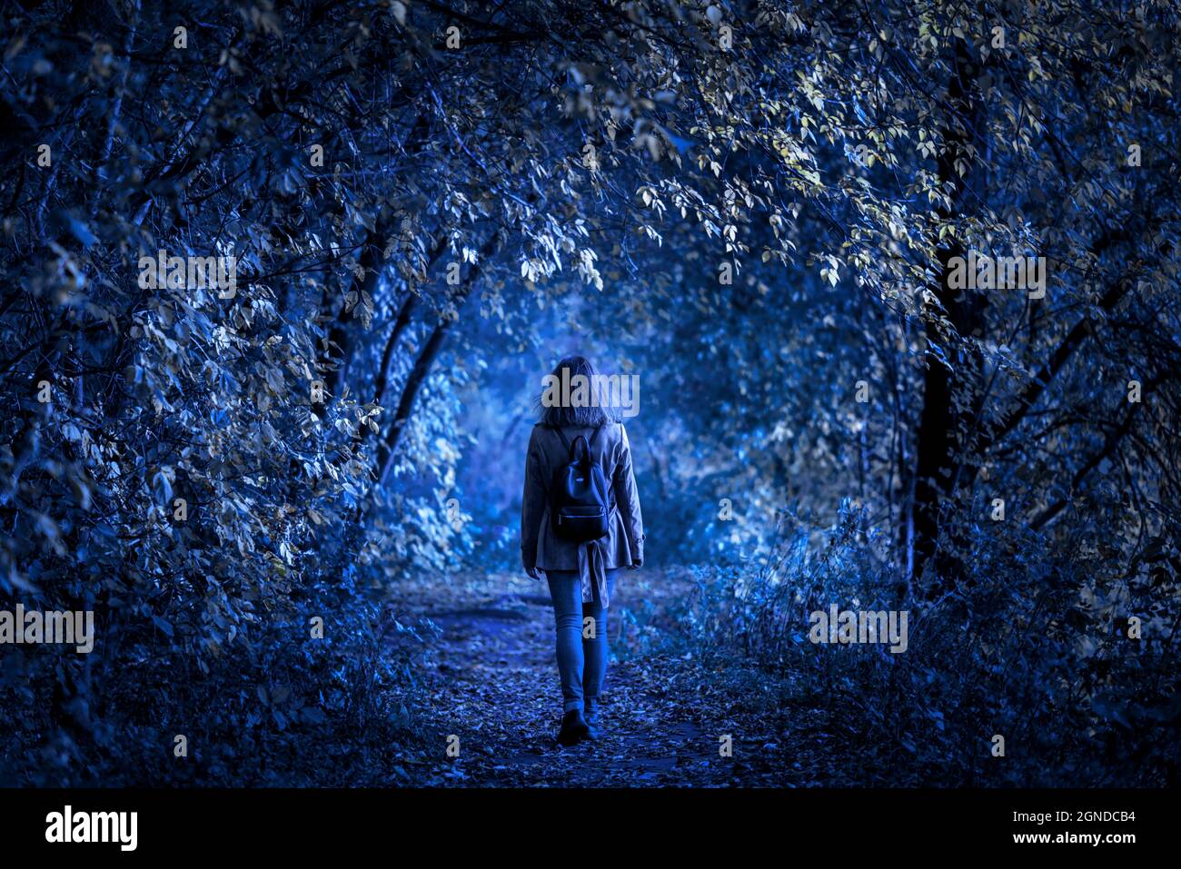 Forêt sombre sur Halloween, jeune femme dans les bois fantasy effrayés la nuit. Fille marchant seule sur le chemin dans le parc mystique. Personne seule dans un PLA étrange et créepy Banque D'Images