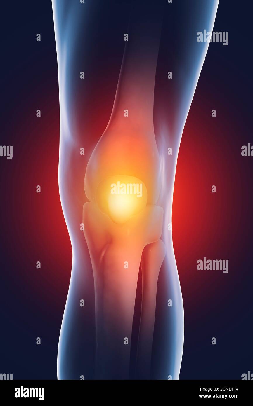 Les droits de l'articulation du genou, illustration Banque D'Images