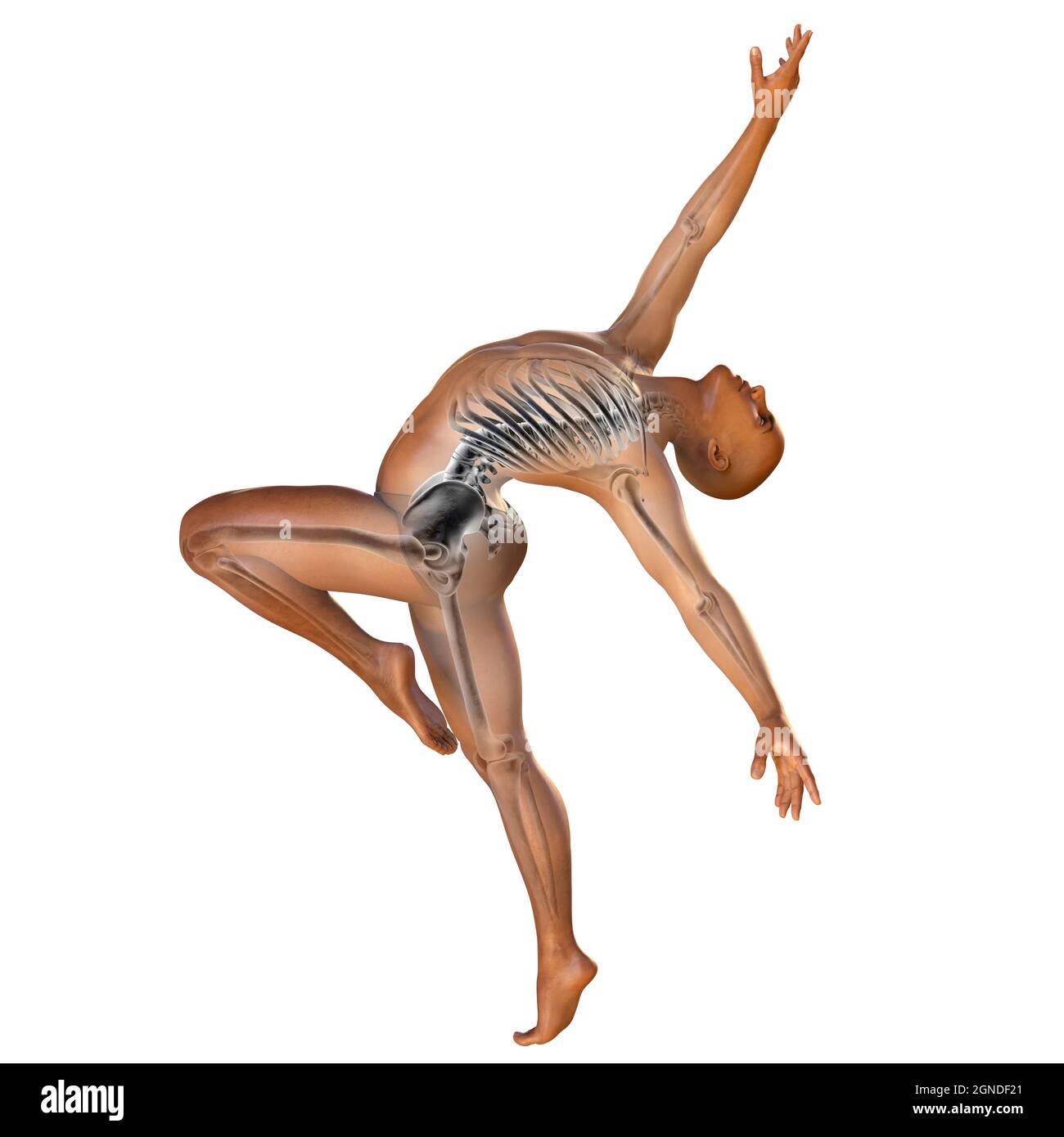Danseur de ballet, illustration Banque D'Images