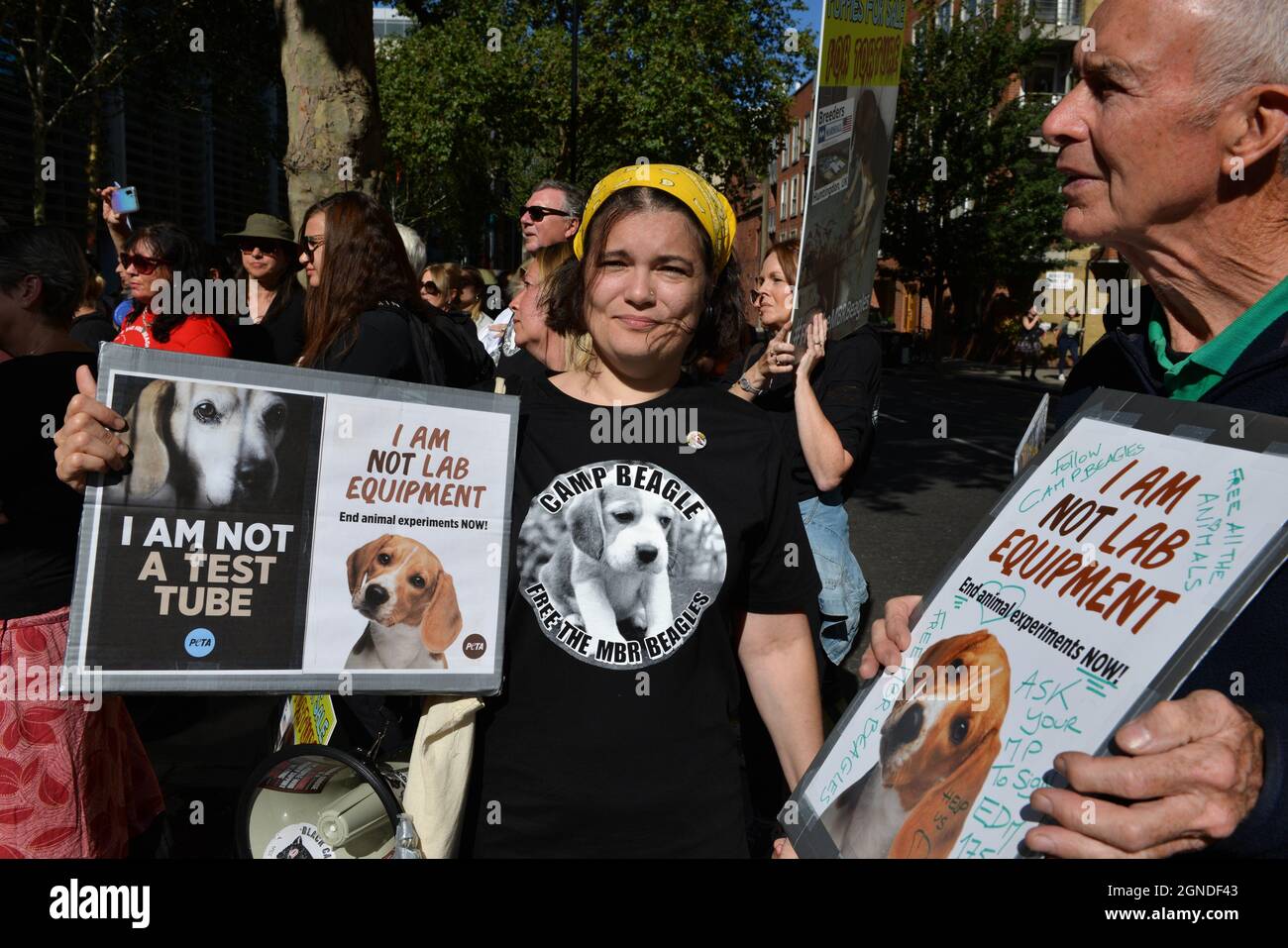 Londres, Royaume-Uni. 24 septembre 2021. Les manifestants tiennent des pancartes pendant le rassemblement Free the MBR Beagles.les militants se sont rassemblés devant le Home Office pour demander la libération des beagles au MBR Acres (ressources Marshall) et contre l'utilisation de chiens dans les tests de toxicité médicale et chimique. (Photo de Thomas Krych/SOPA Images/Sipa USA) crédit: SIPA USA/Alay Live News Banque D'Images