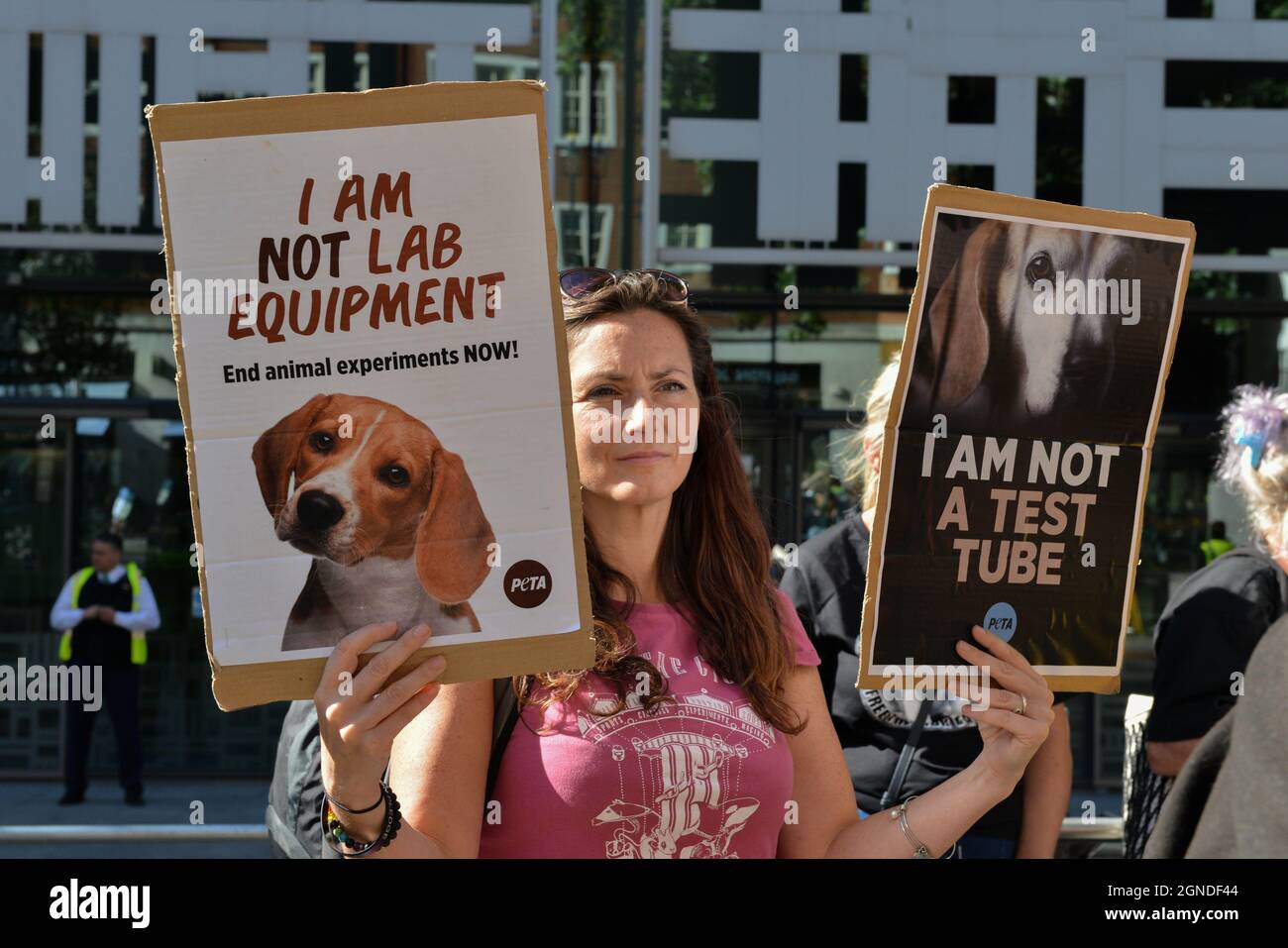 Londres, Royaume-Uni. 24 septembre 2021. Un manifestant tient des placards pendant la manifestation.des activistes se sont rassemblés à l'extérieur du Home Office pour demander la libération des beagles au MBR Acres (bioressources Marshall) et contre l'utilisation de chiens dans les tests de toxicité médicale et chimique. (Photo de Thomas Krych/SOPA Images/Sipa USA) crédit: SIPA USA/Alay Live News Banque D'Images