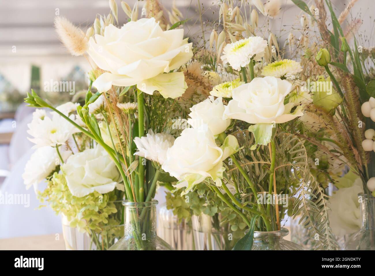 Arrière-plan avec plusieurs fleurs blanches en petits bouquets verts en format horizontal Banque D'Images