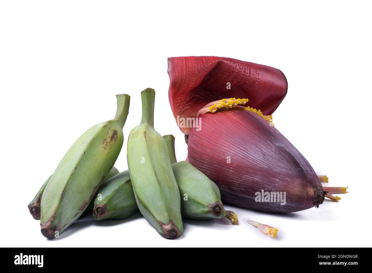 plantains de frêne ou banane verte brute avec fleur de banane également connu sous le nom de fleur de banane, légumes isolés sur fond blanc, vue rapprochée Banque D'Images