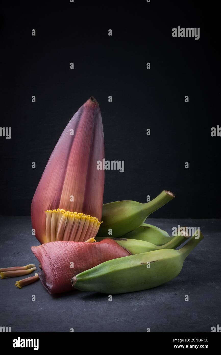 plantains de frêne ou banane verte brute avec fleur de banane également connu sous le nom de fleur de banane, légumes isolés sur un fond sombre, vue rapprochée Banque D'Images