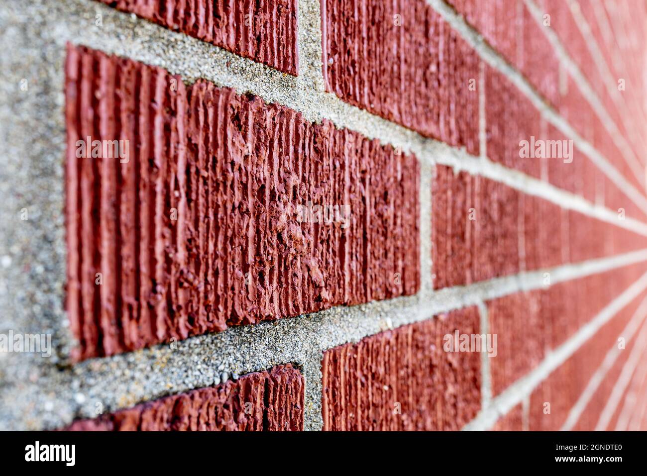 Gros plan d'un mur de briques rouges avec des lignes de coulis grises. Prise de vue avec une faible profondeur de champ et un objectif grand angle créant un arrière-plan flou avec conve Banque D'Images