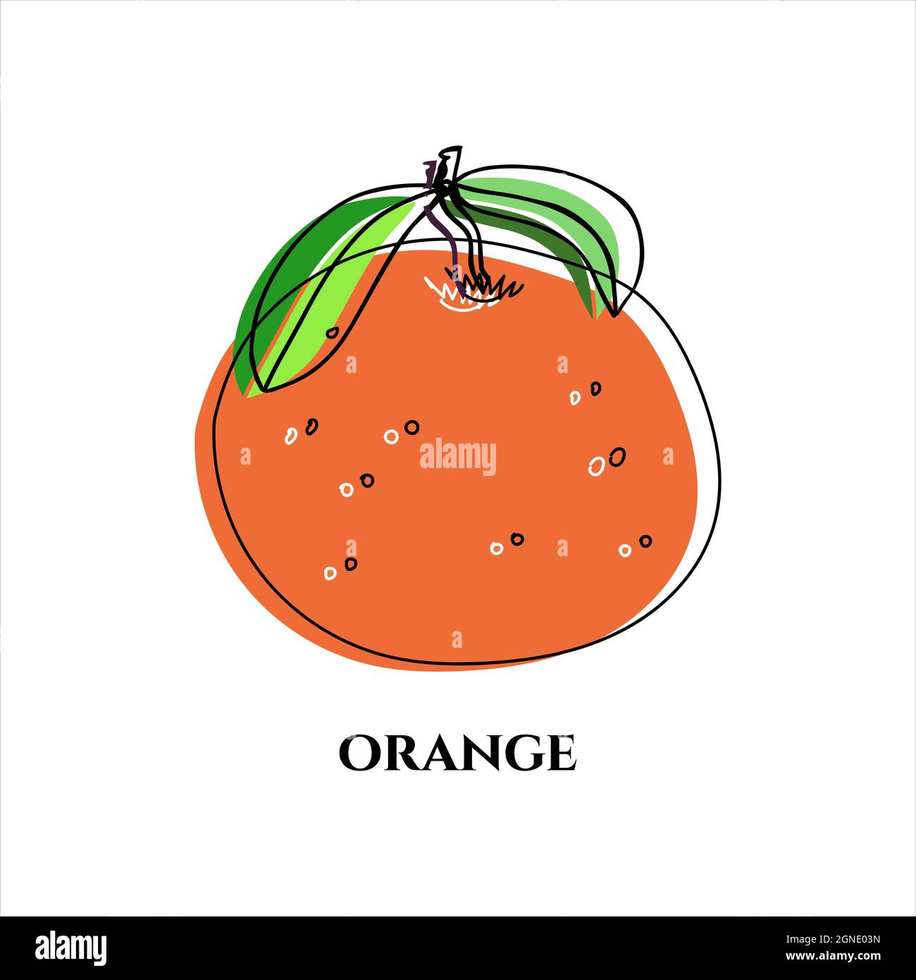 Illustration vectorielle de l'orange ou de la mandarine en style Doodle. Illustration de Vecteur