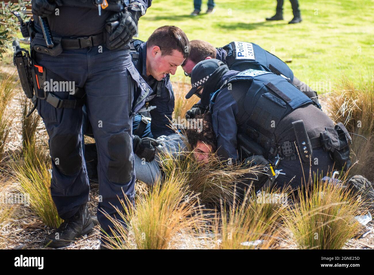 Melbourne, Australie. 25 septembre 2021. 25 septembre 2021, Melbourne, Australie. Un homme est arrêté lors d'une tentative de rassemblement de « la marche des lions » à St Kilda. Credit: Jay Kogler/Alay Live News Credit: Jay Kogler/Alay Live News Banque D'Images