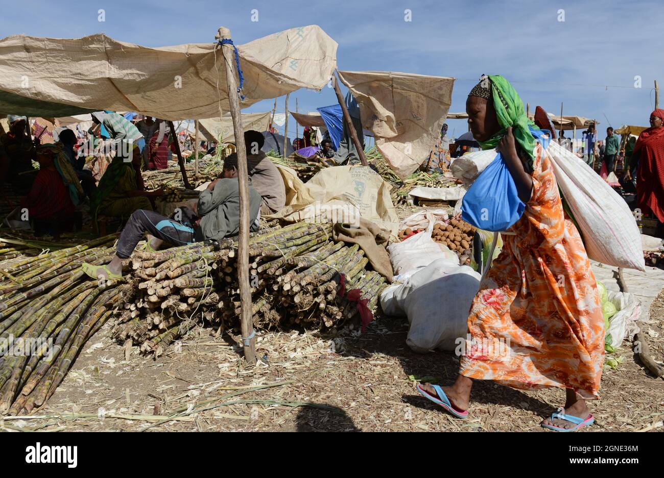 Canne à sucre vendue sur le marché hebdomadaire de Bati, en Éthiopie. Banque D'Images