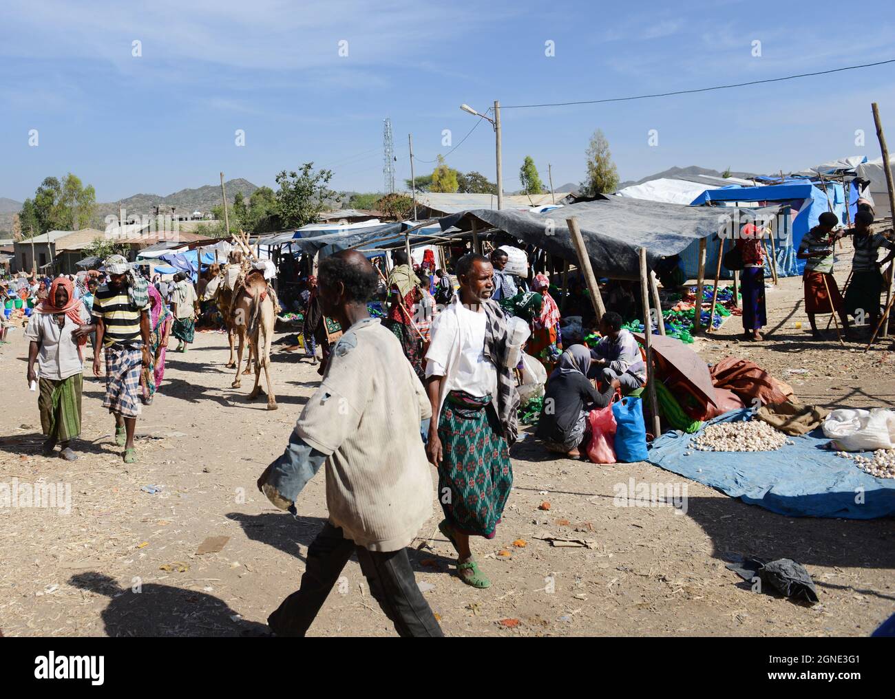 Le marché hebdomadaire coloré à Bati, en Éthiopie. Banque D'Images