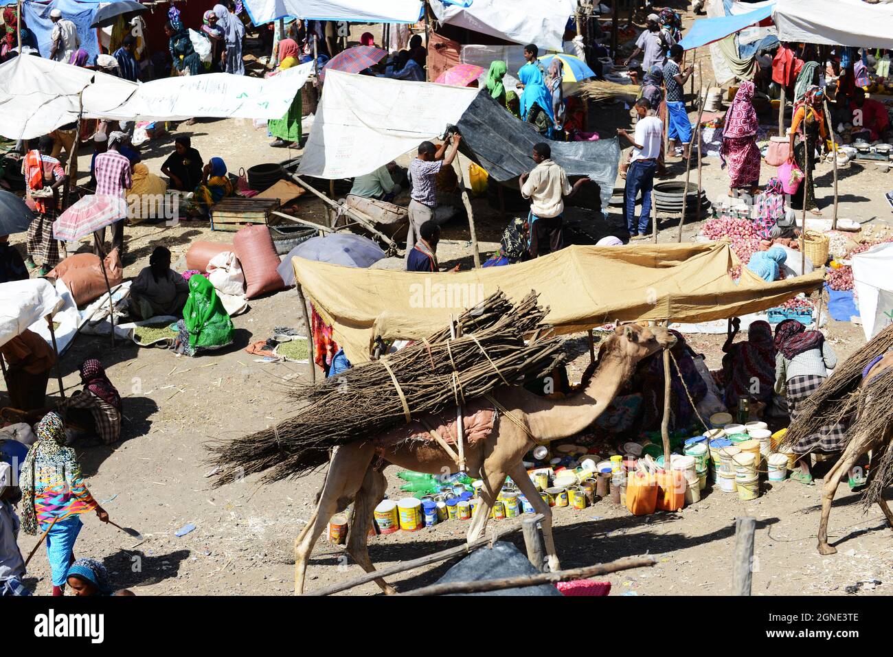 Le marché hebdomadaire coloré à Bati, en Éthiopie. Banque D'Images