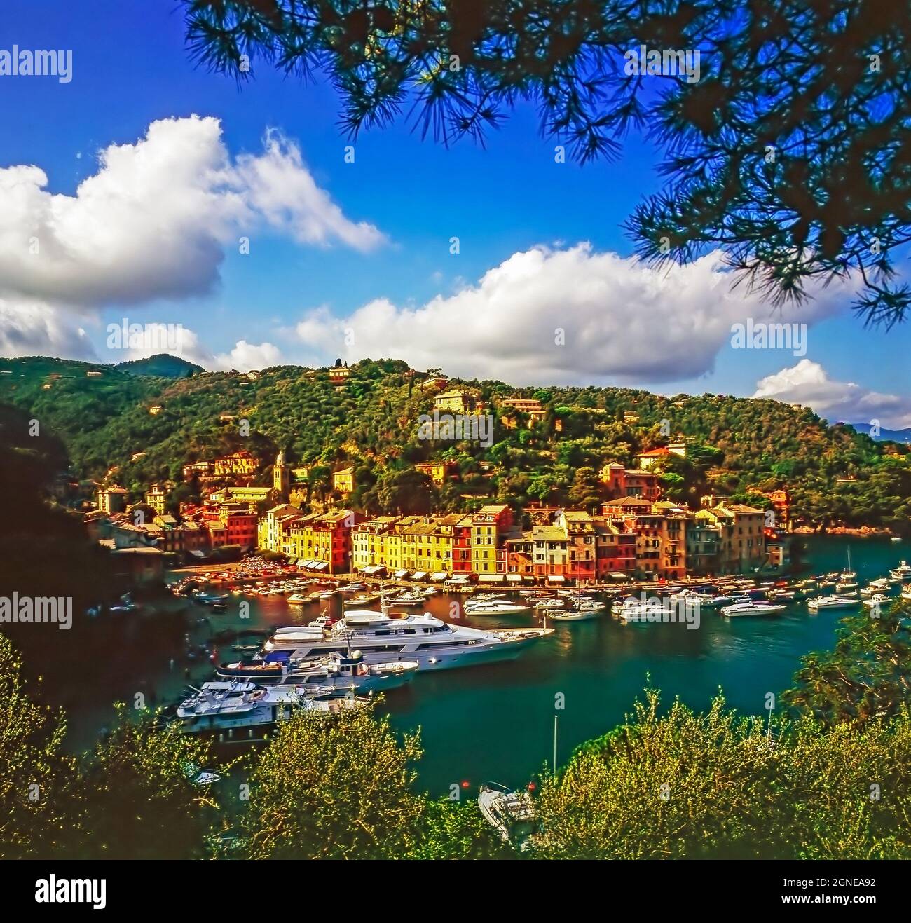 Portofino avec port sur la côte italienne de la Ligurie Banque D'Images