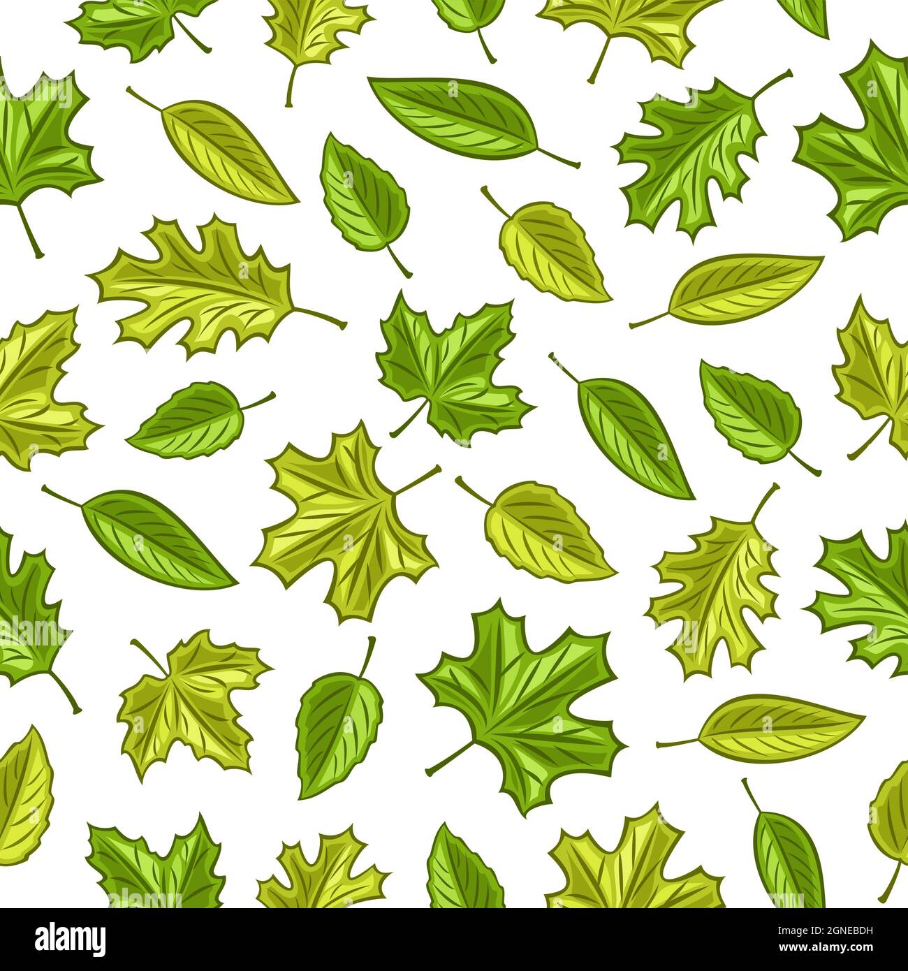 Motif à feuilles vectorielles sans couture, fond carré répété pour l'intérieur saisonnier, affiche avec jeu d'illustrations découpées de différentes chutes de vert Illustration de Vecteur