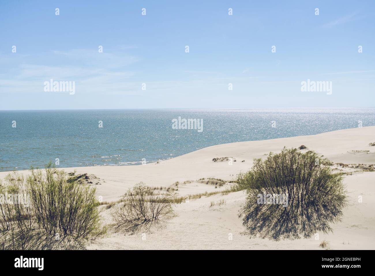 Dunes de sable et vue sur la mer Baltique le jour ensoleillé à curonian SPIT Banque D'Images