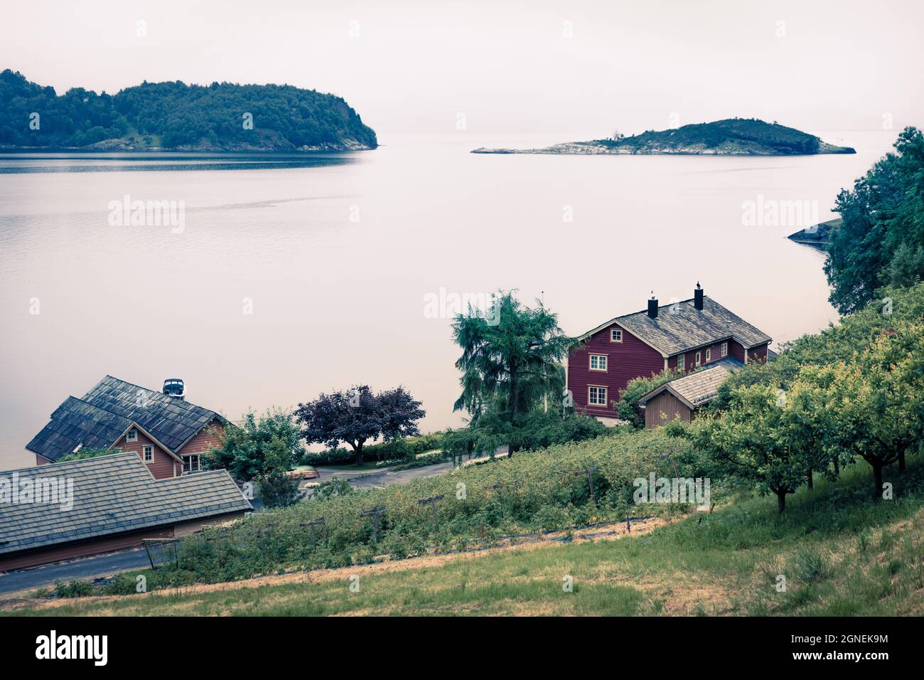 Campagne typique paysage norvégien. Matin d'été brumeux en Norvège, en Europe. Beauté de fond de concept de campagne. Mode de filtre Instagram. Banque D'Images
