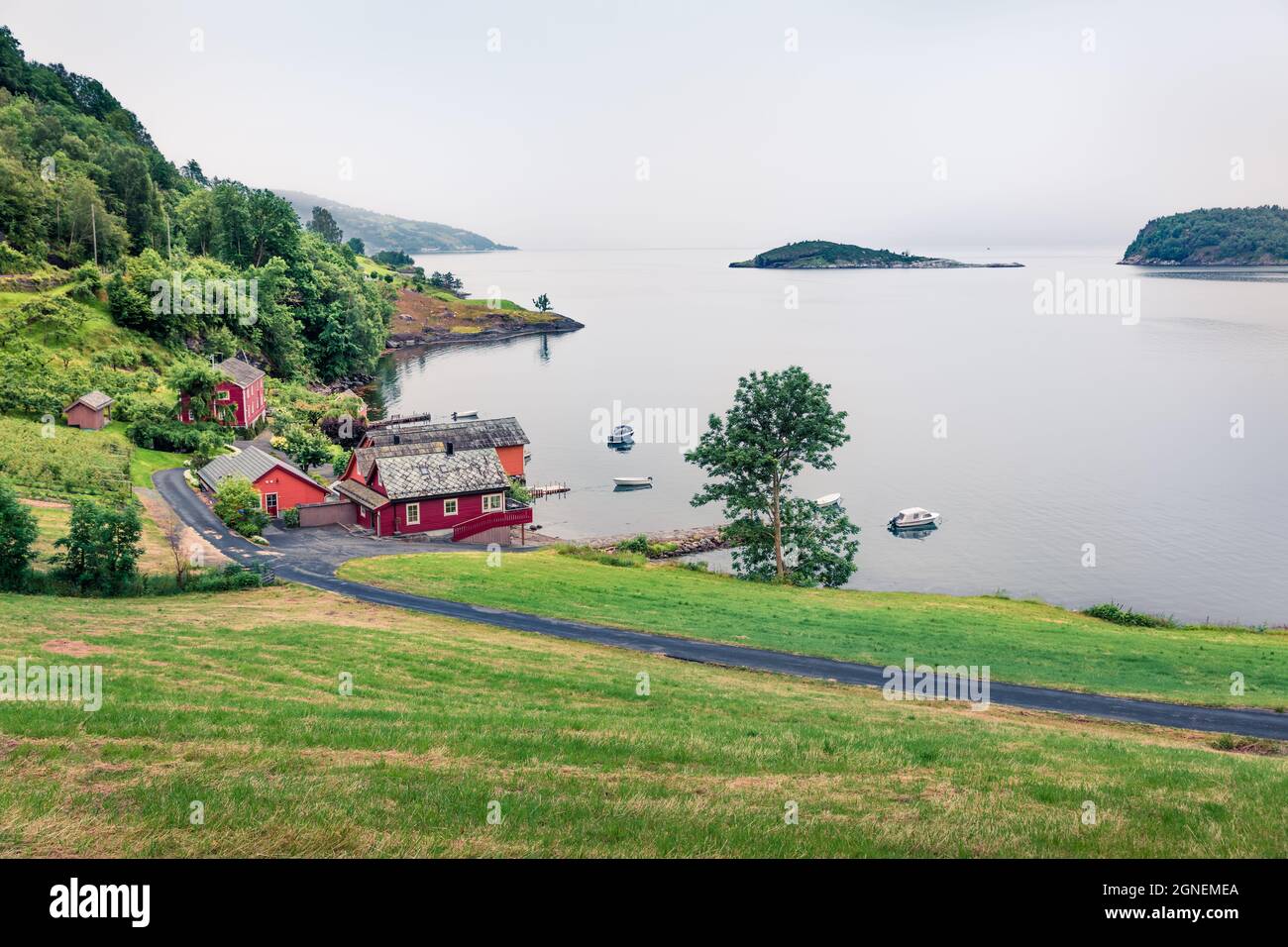 Campagne typique paysage norvégien. Matin d'été brumeux en Norvège, en Europe. Beauté de la nature concept fond. Mode de filtre Instagram. Banque D'Images