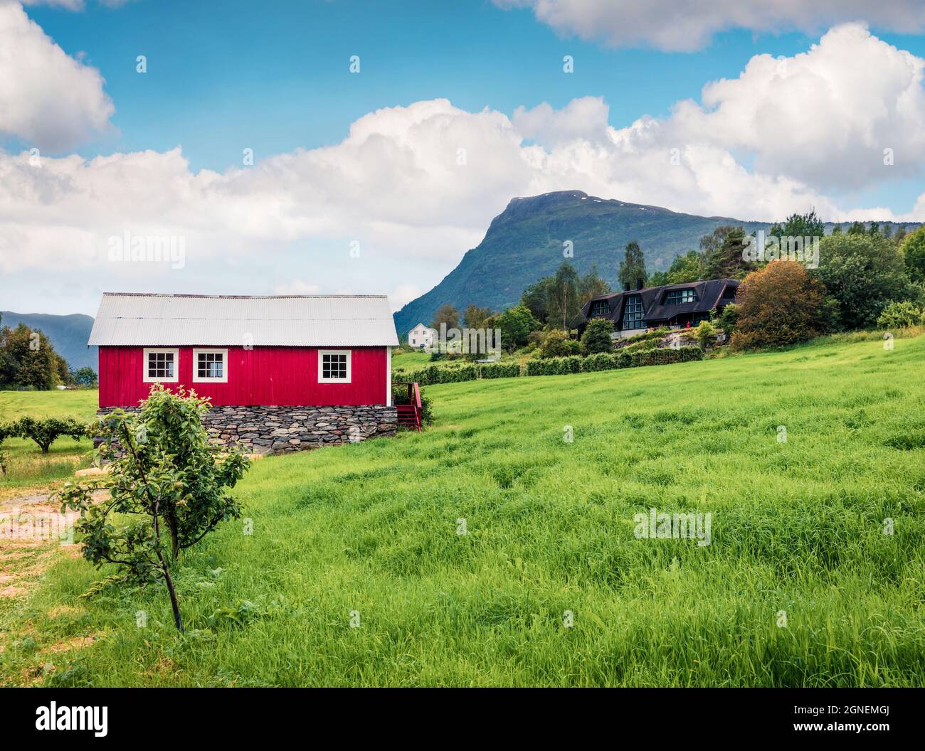 Campagne typique paysage norvégien avec maison murale peinte en rouge. Matin d'été pittoresque en Norvège, en Europe. Beauté de la nature concept fond Banque D'Images