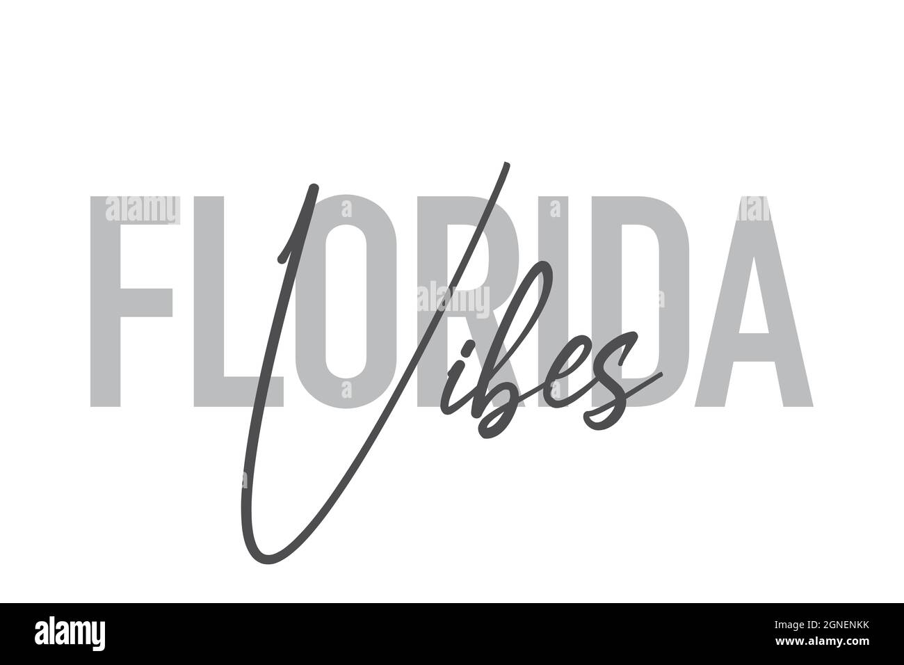 Conception typographique moderne, simple et minimaliste d'une expression « Florida Vibes » dans des tons de gris. Art vectoriel graphique cool, urbain, tendance et ludique avec Banque D'Images