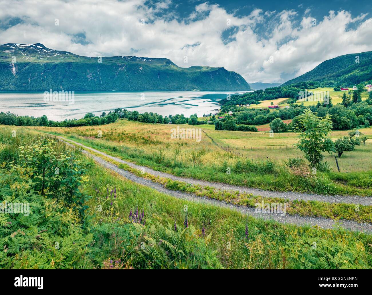 Campagne typique paysage norvégien. Matin d'été Summy en Norvège, Europe. Beauté de la nature concept fond. Mode de filtre Instagram. Banque D'Images