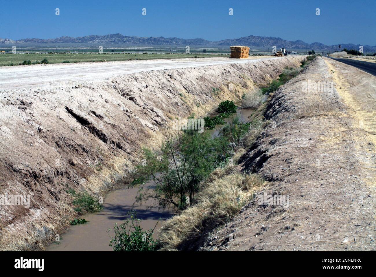 Agriculture irriguée intensive dans les vallées impériales et Coachella, dans le sud de la Californie. Banque D'Images
