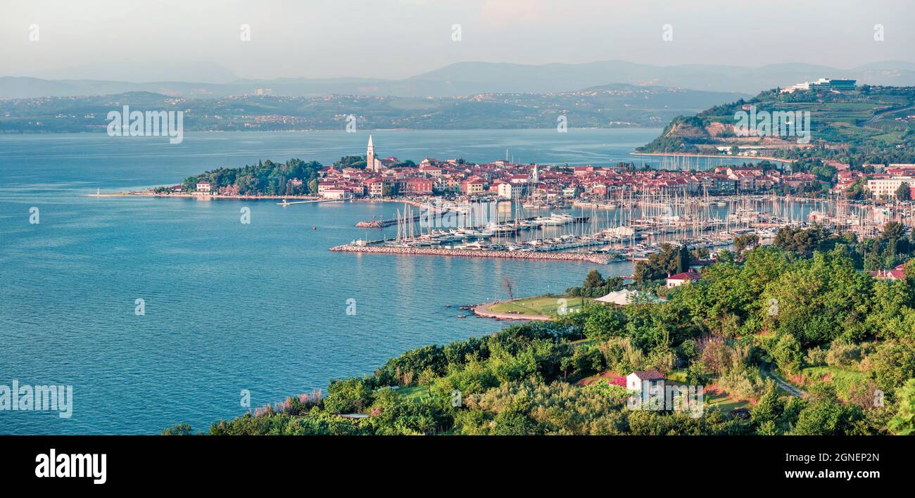 Vue aérienne de la vieille ville de pêcheurs Izola. Source colorée de paysage marin de la mer Adriatique. Magnifique panorama de Slovénie, Europe. La beauté de la campagne concep Banque D'Images