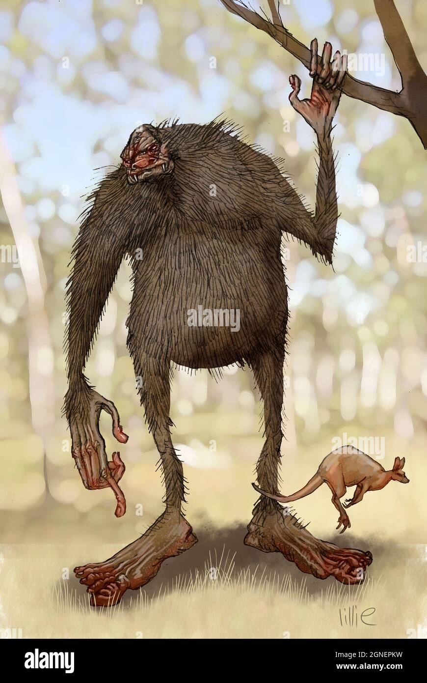 Art multimédia d'un yowie, ou yahoo; une créature poilue, de plus de 3 m de haut, du folklore aborigène australien. Réputé pour vivre dans l'Outback. Banque D'Images