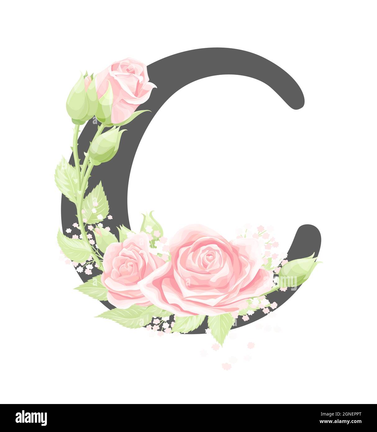 Lettre C de l'alphabet floral vectoriel avec fleurs roses crème et feuilles vertes Illustration de Vecteur