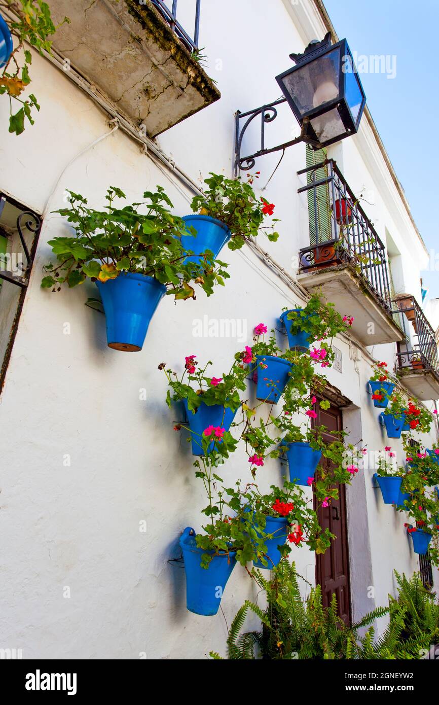 Maison dans la vieille ville de Cordoue décorée avec des pots de fleurs, Espagne Banque D'Images