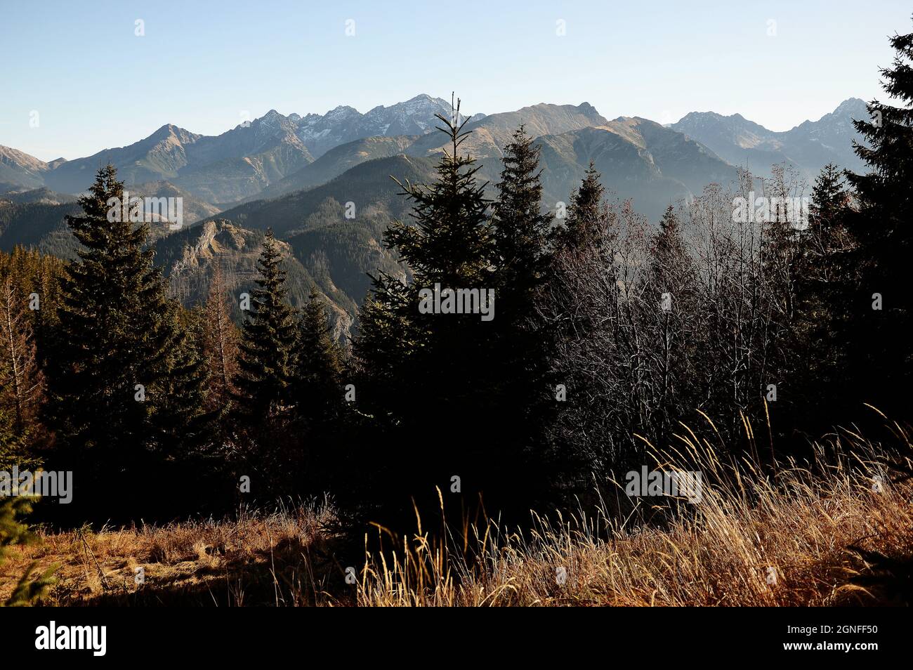 Couleurs d'automne dans la nature - montagnes Tatras Banque D'Images