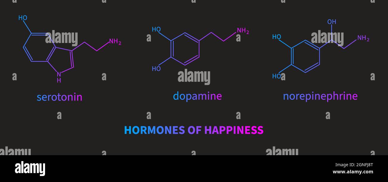 Hormones du bonheur - sérotonine, dopamine, norépinéphrine. Formule de neurotransmetteur. Cerveau et psychiatrie. Illustration vectorielle Illustration de Vecteur